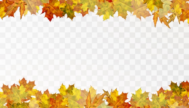 Autumn colorful leafy ornament with yelloworange maple leaves on a transparent background Vector