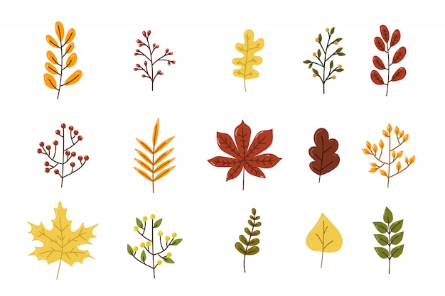 Вектор Осенние разноцветные листья набор изолированных