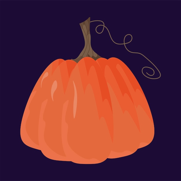 Осенняя красочная тыква для украшения хэллоуина или сбора урожая