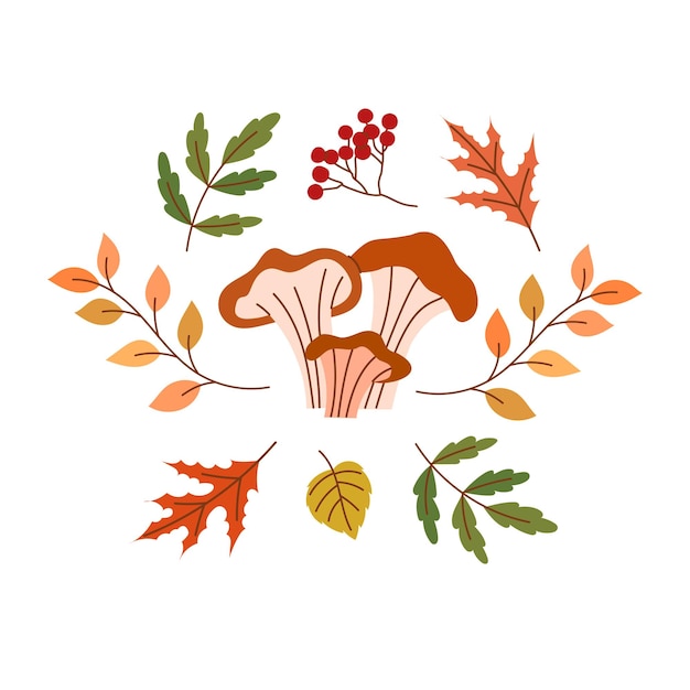 Vector autumn composition with mushrooms and leaves