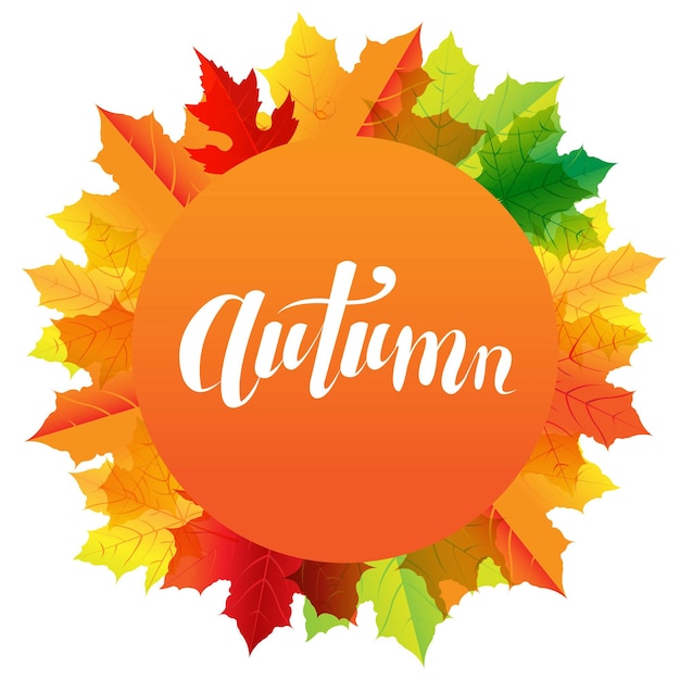 Autumn composition with speech bubble and text