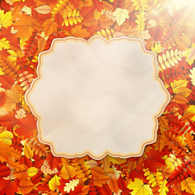 Vector autumn concept background.