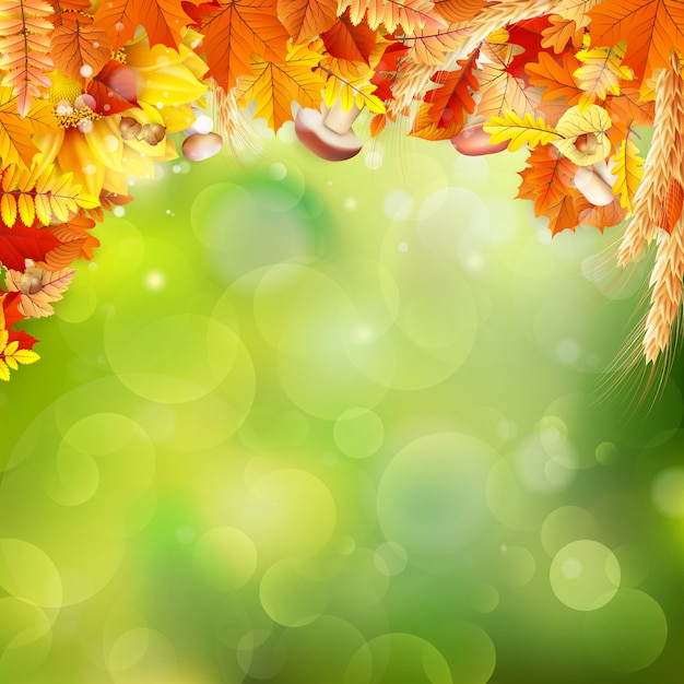 Autumn Concept Background. 