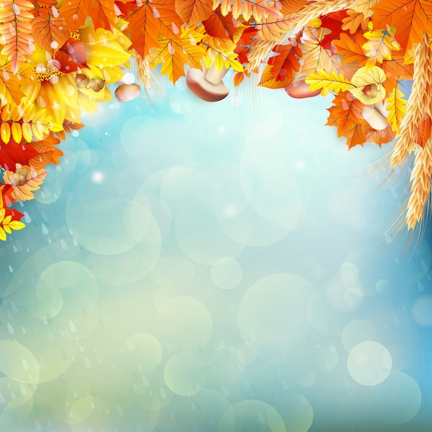 Vector autumn concept background.