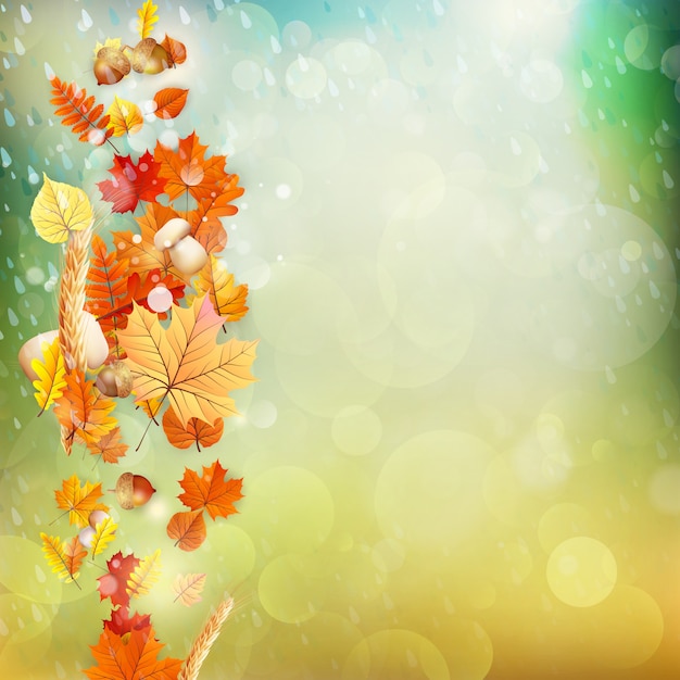 Autumn Concept Background. 