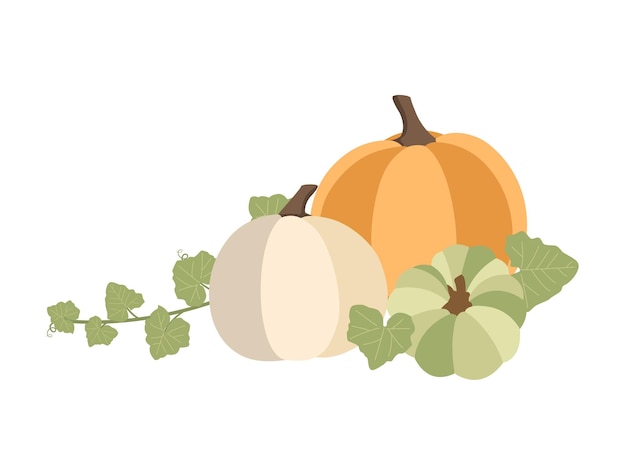 Vector autumn concept for harvest festival or thanksgiving day. pumkins with leaves. background for posterw