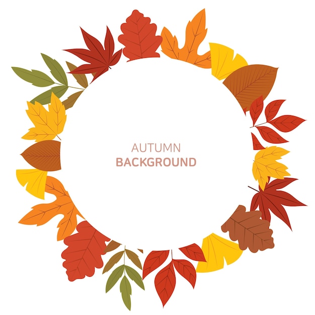 Vector autumn concept maple leaves background