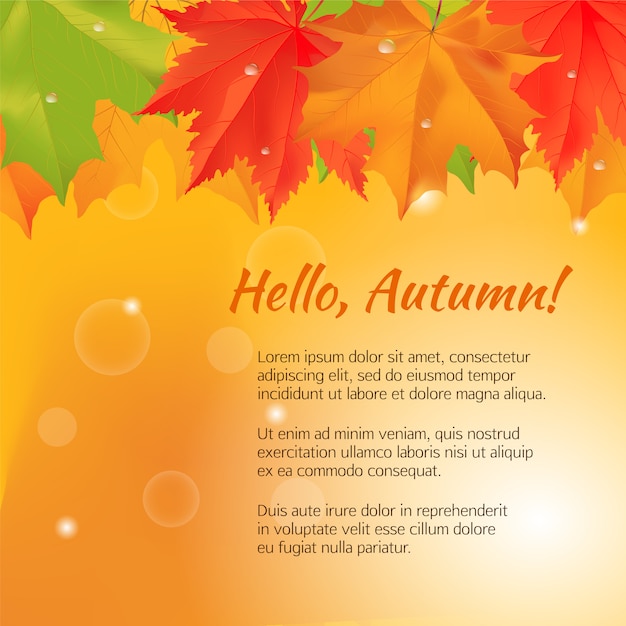 Autumn congratulation banner.