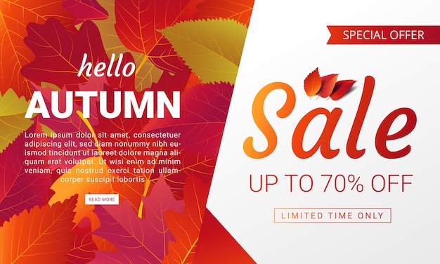 Vector autumn discount banner layout template