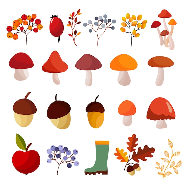 Vector autumn elements collection