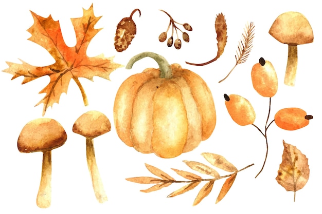 Autumn elements set watercolor illustration. Ripe pumpkin and mushrooms fall illustration in vintage