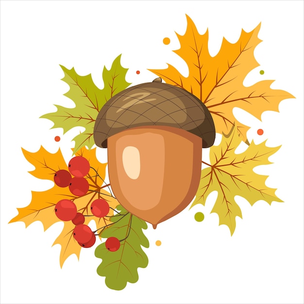 Vector autumn fall clip art acorns guelder rose and colorful leaves