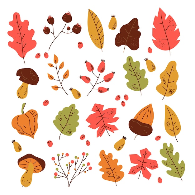 Autumn fall forest leaves design element isolated set