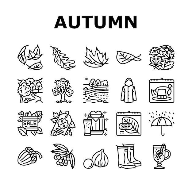 Autumn fall leaf nature season icons set vector