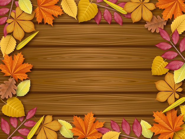 Vector autumn. fall leaves frame on wooden
