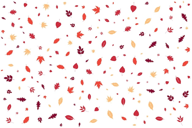 Autumn Fall Pattern