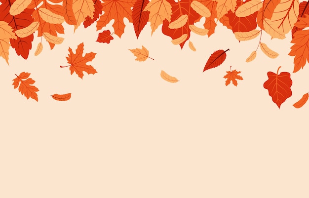 Vector autumn fall season leaf greeting invitation card beautiful nature background