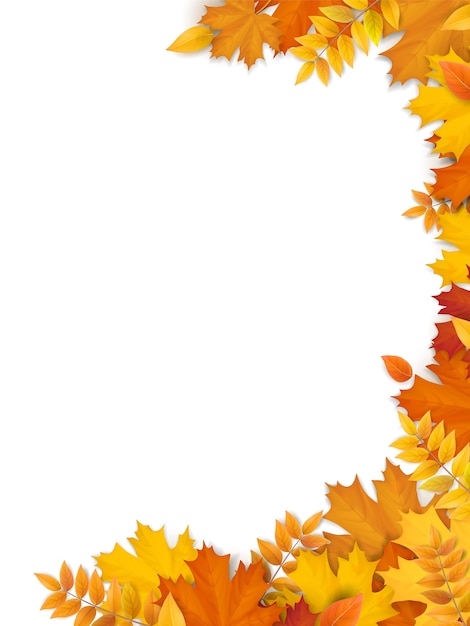 Vector autumn fallen leaves frame. empty blank for design of flyer, sale banner and advertising card.