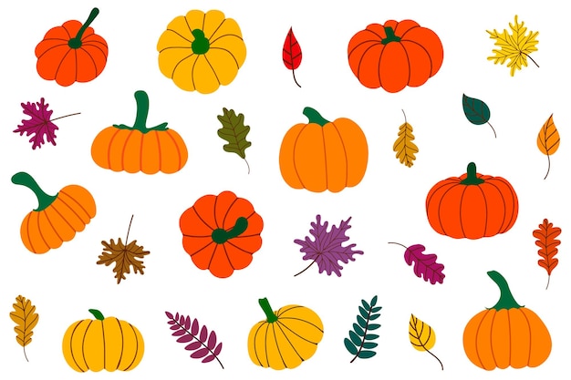 Vector autumn fallen leaves and pumpkins. illustration