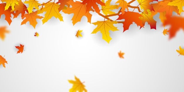 Autumn falling leaves background