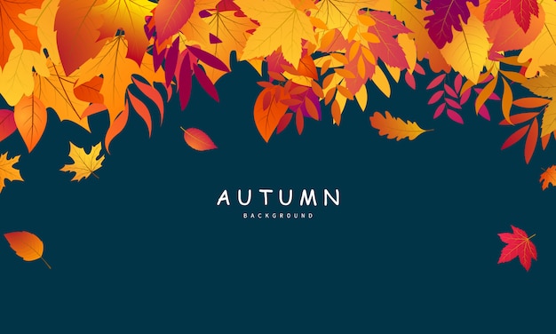 Vector autumn falling leaves background