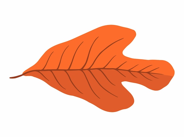 Vettore l'illustrazione delle foglie che cadono in autunno
