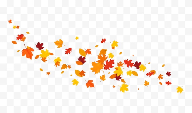 Vector autumn falling leaves isolated on white background autumn background with golden maple and oak leaves