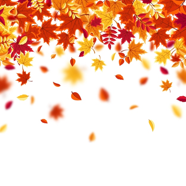 Vector autumn falling leaves nature background with red orange yellow foliage flying leaf season sale