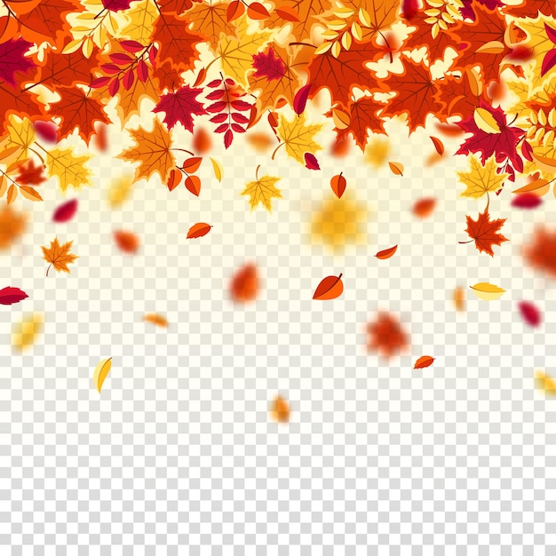Autumn falling leaves nature background with red orange yellow foliage flying leaf season sale