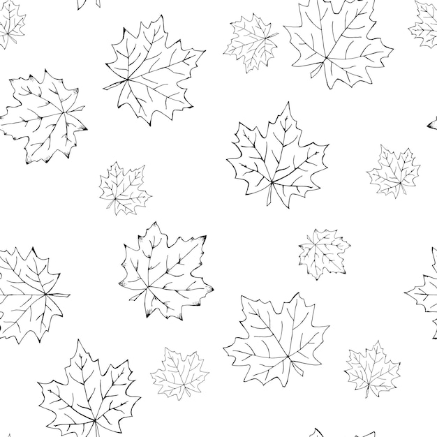 Autumn falling leaves pattern Hand drawn. Black and white vector illustrations.