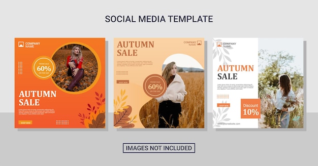 Vector autumn fashion social media post collection