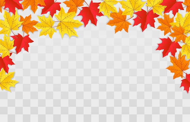 Autumn foliage collection on png, fall flying leaves, autumn nature design elements for decoration