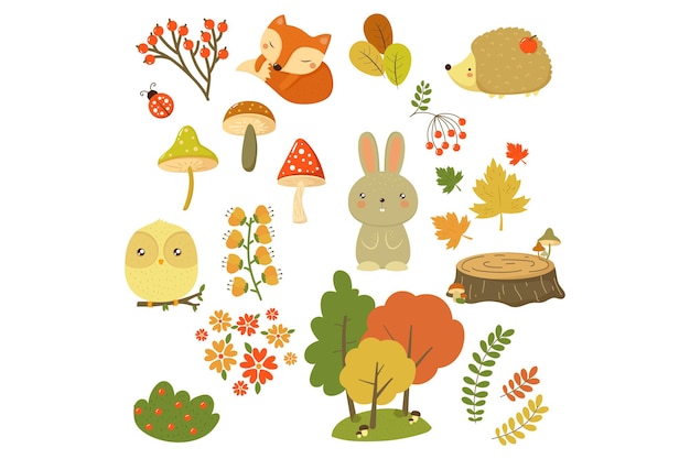 Autumn forest elements set forest animals leaves flowers berries and mushrooms cartoon vector