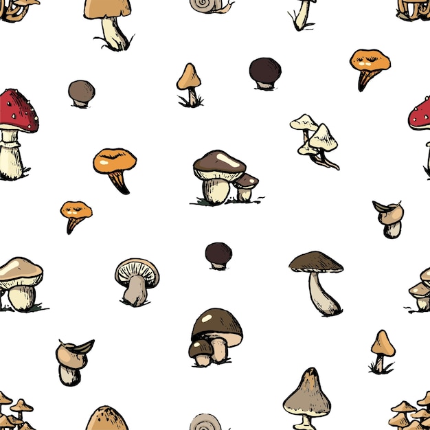 Autumn forest harvest mushrooms doodles seamless pattern Hand drawn vector ornament Vintage botanical design for print background wallpaper textile decor