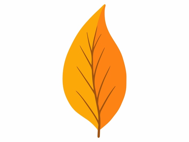 Vector autumn forest leaves illustration