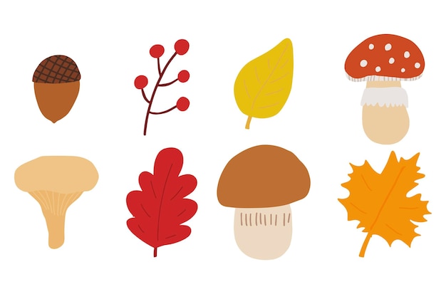 Autumn forest mushroom and leaves Boletus honey mushrooms fly agaric berries maple oak birch leaves