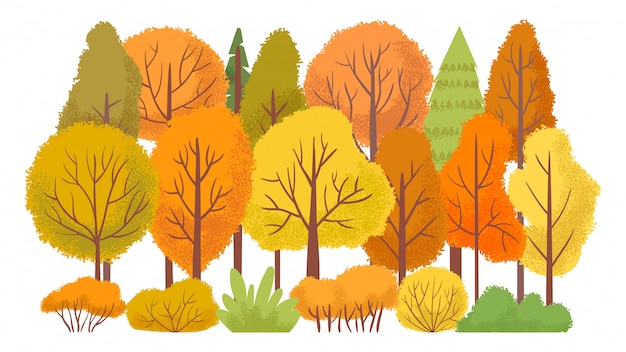 Vector autumn forest trees. autumnal garden, yellow tree abstract cartoon  illustration