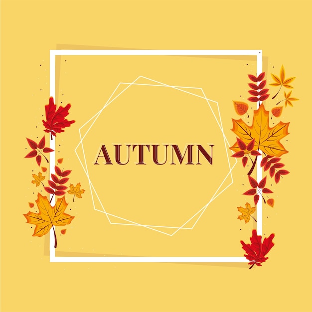 autumn frame and leaves