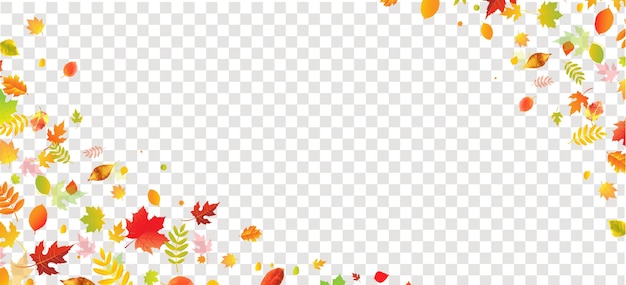 Vector autumn frame poster with bright leaves with gradient mesh vector illustration