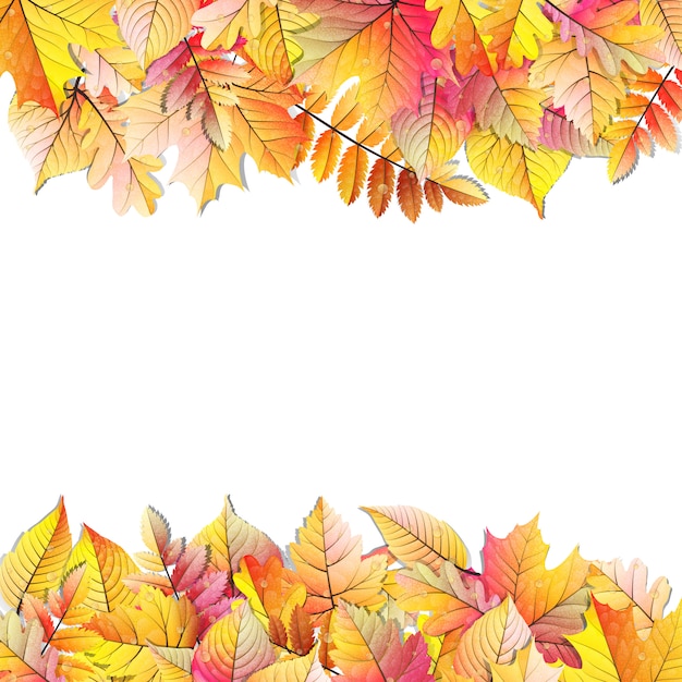 Autumn frame with fall leaf.