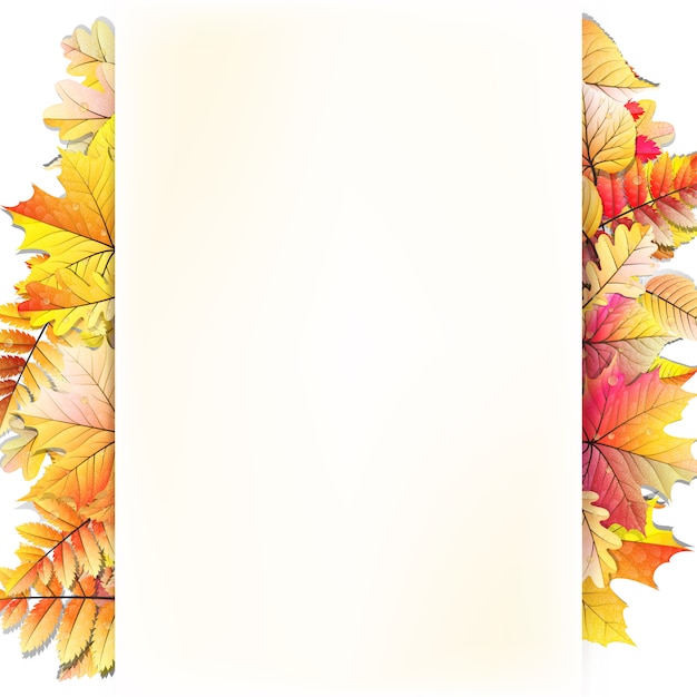 Vector autumn frame with fall leaf.