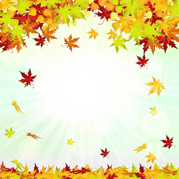 Autumn Frame With Falling Leaves