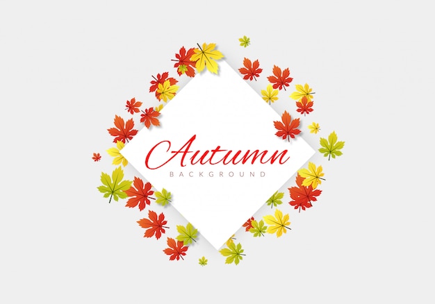 Cornice autunnale con foglie di acero