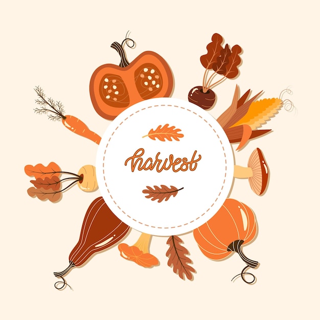 Autumn greeting card and vegetables.harvest phrase.vector illustration