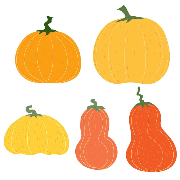 Autumn Halloween pumpkins Harvest festival Set of orange vegetables