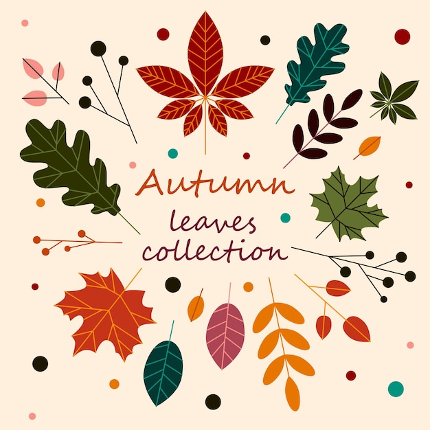 가을 손으로 그린 잎 벡터 세트 가을 시즌 잎 스티커 팩