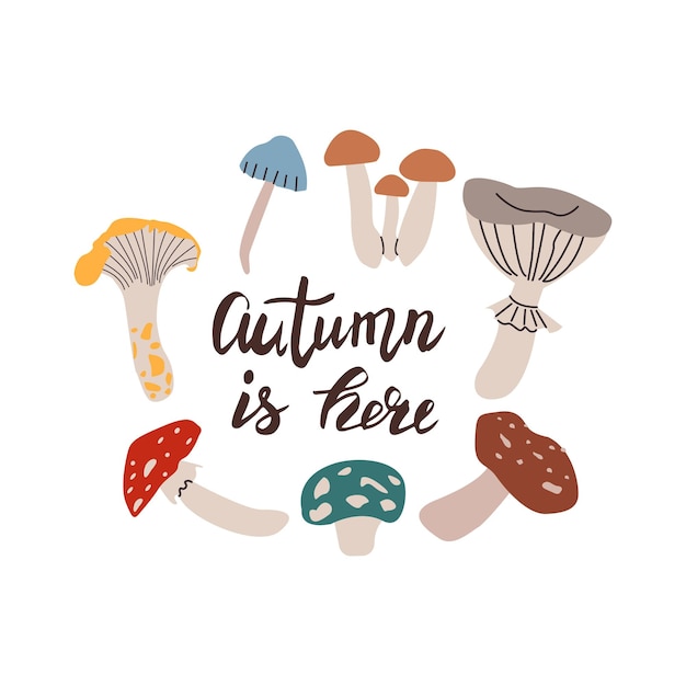 autumn hand drawn lettering autumn is here fall season handwritten slogan autumn