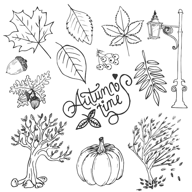 Autumn Hand Drawn Vector Illustration Objects Set