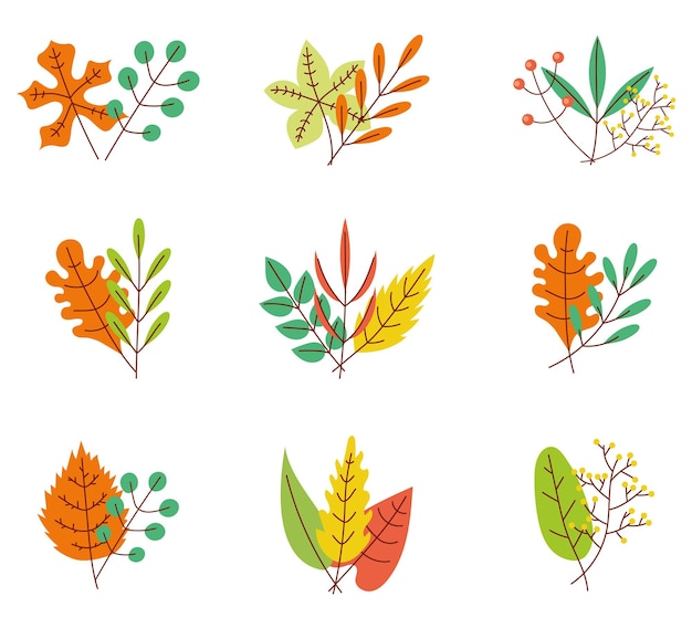 Autumn herbarium leave isolated design element set graphic design illustration