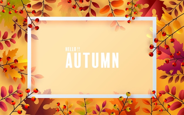 Vector autumn holiday seasonal background with colorful autumn leaves on color background